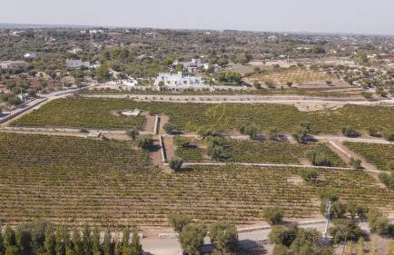 TD Tenuta Donna Madia Sea View Pool Over Vineyard - Foto 91