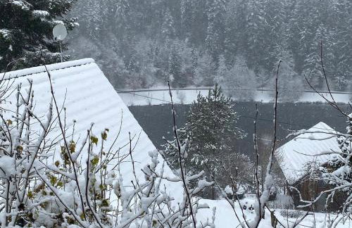 Haus Löwe - Komplettes Ferienhaus am Badesee - Foto 43