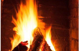 Schlafen im Weinfass - Foto 15