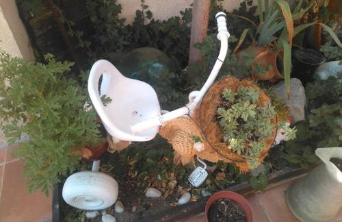 PINAR DE LAS CABAÑUELAS - Foto 22