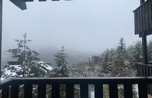 Studio terrasse sud vue montagnes Pra Loup 1500 - Foto 29