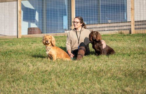 Woodland Lodge - Foto 24