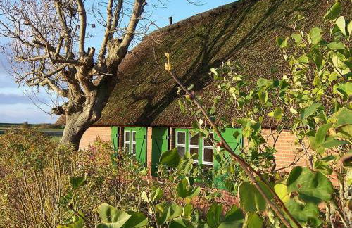 Thatched Roof House Kehl - Foto 6