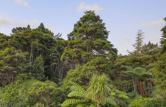 Tranquil Sunset Retreat - Spa - Netflix - Foto 52