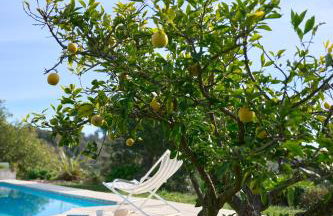 Sunlight Properties - Villa Belvédère - Foto 42
