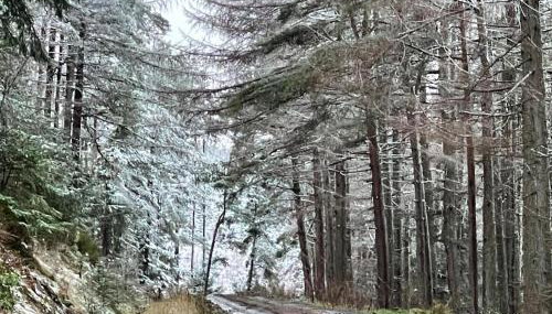 Yairbrig Holiday - Foto 3