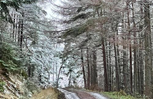 Yairbrig Holiday - Foto 3