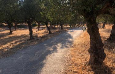 House Koula - Foto 39