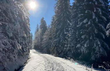 Aotearoa - Mountain apartment in Bavaria, Mitterdorf - Mitterfirmiansreut - Foto 34
