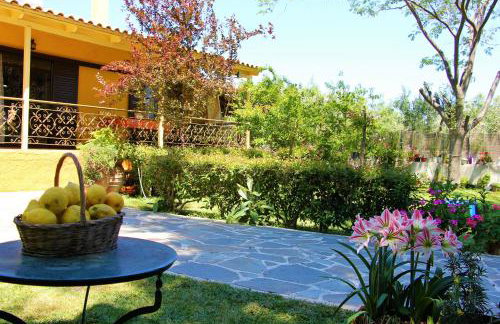 Amarynthos Beachfront Vacation House with garden - Foto 8