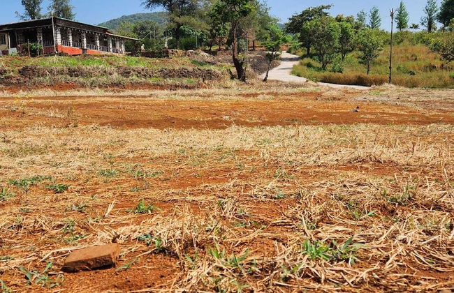 Matru Iccha Bunglow - Foto 29