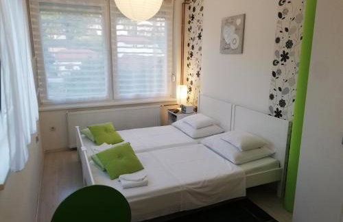 Apartments Krapinske Toplice Krtak Biba - Foto 52