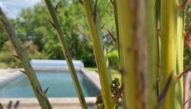 Five and You - Foto 5