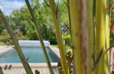 Five and You - Foto 5