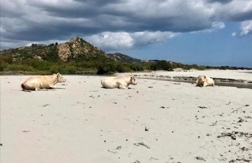 Villetta DESSANAI - Foto 66