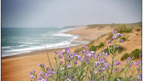 La Coquette du Marais - Photo 4
