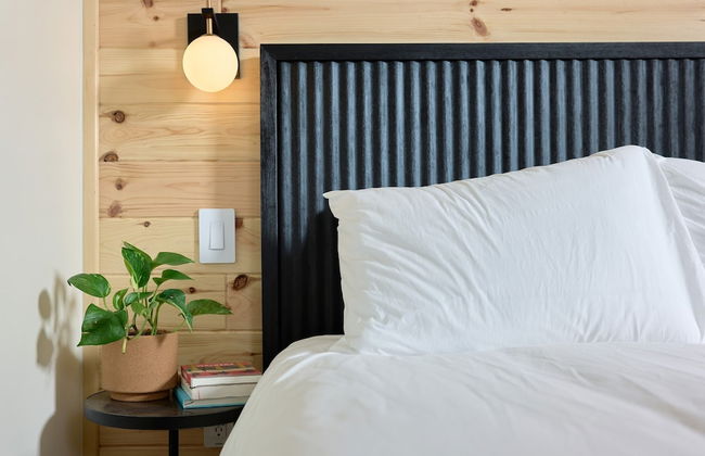 The Rex Hotel - Foto 14