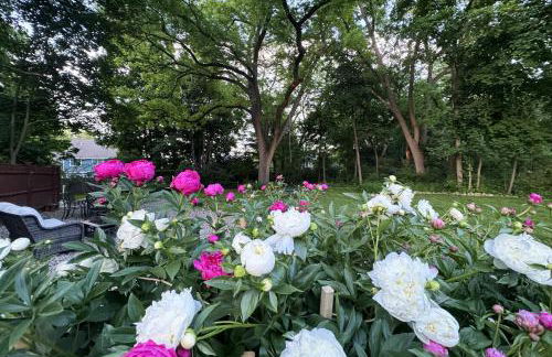 Large, Comfortable & Conveniently located Home - Foto 51