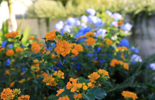 Vanda Land apartment - Foto 34