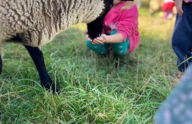 Ferienanlage Gutshaus Gramkow - Foto 53