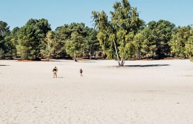Kabanéo - Gîte et Sauna- Samois sur Seine - Forêt de Fontainebleau - Foto 28