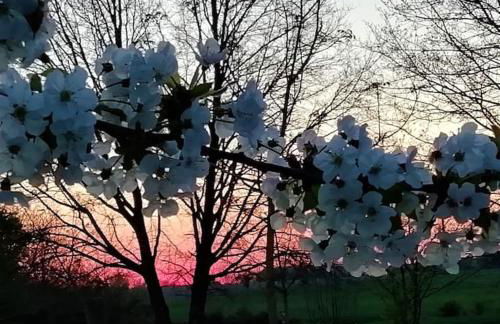 Calme et sérénité au gîte des hortensias - Foto 23