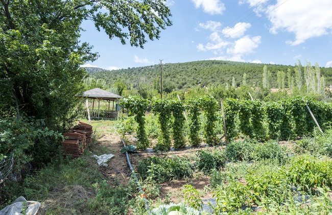 Tefenni Villas - Foto 76