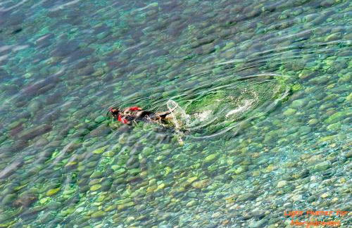 BALCON DEL DUENDE Seafront Paradise - Foto 56