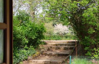 Gartenreich - Foto 2