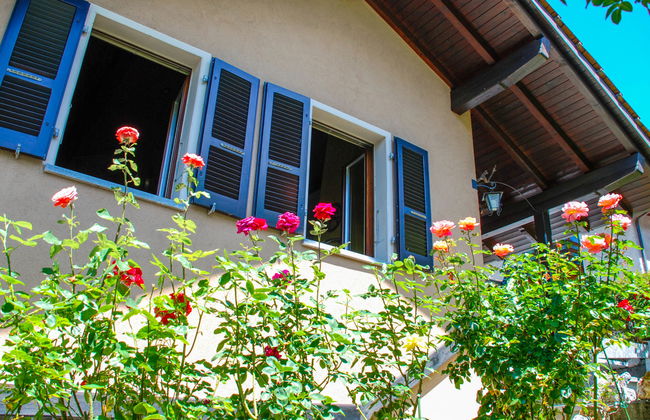 La Casina - Photo 15