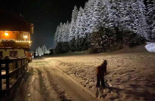 Appartamento al Tabià Pizal - Photo 18