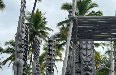 Ocean view Mauna Loa Shores Kai Ekahi #201 next to Carlsmith Beach Park Hilo HI - Foto 44