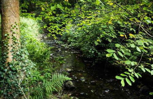 Daiches Braes Brunstane Portobello - Foto 27