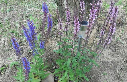 GREEN HOUSE - Foto 47