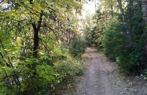 Rustic Caravan Getaway on a Creek in the Klamath National Forest of California - Foto 7