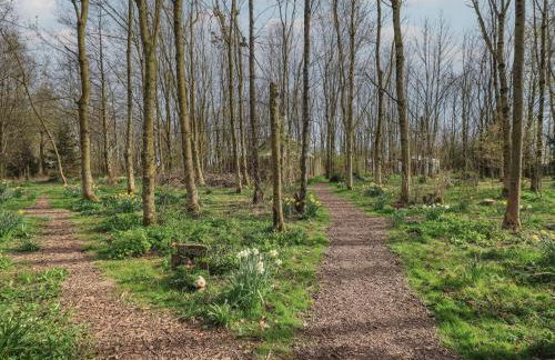 Yewberrie Yurt - Foto 18