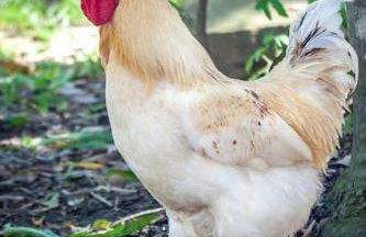 Villa au cœur de la Provence en pleine nature plage a 30 kilometres - Foto 36