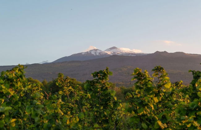 Villa Terre Normanne 13 - Foto 38