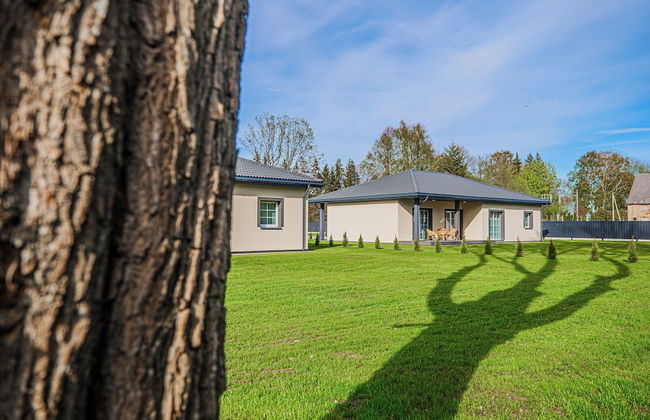 Kintų Perlas - Photo 48