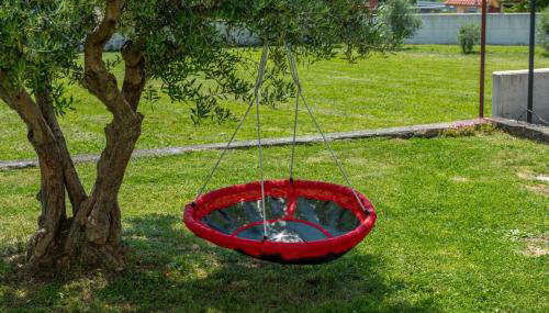 Vista OLIVO - Foto 4