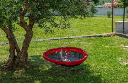 Vista OLIVO - Foto 4