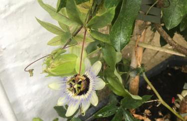 Frogmore Corner - Photo 10