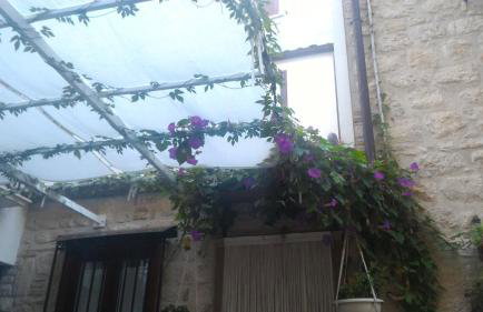 Cortile Suez - Foto 9