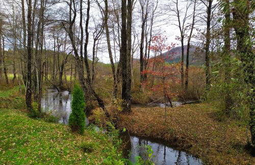 Vodenica Vrelo Chalets - Foto 21