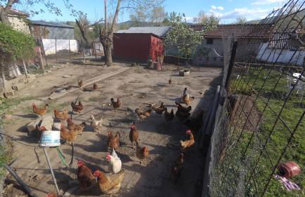 Fofi's Place - Photo 26