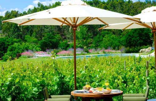 Lavandeira Douro Nature & Wellness - Foto 142