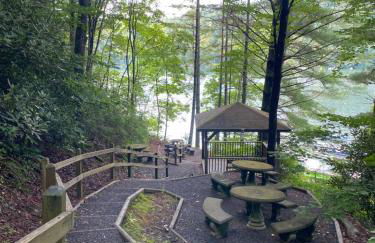 Dream Chaser Chalet at Nantahala Lake - Foto 41