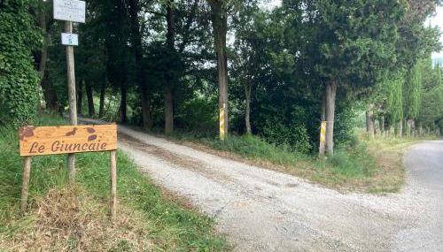 Le Giuncaie - Vigna con alloggio - Foto 2