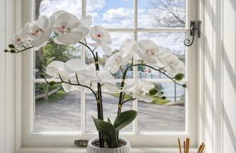 Yarwell Mill - Photo 17