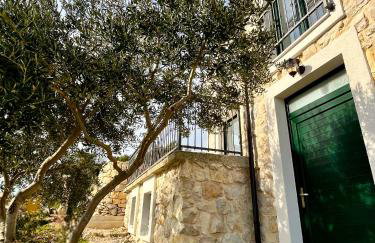 Villa Bepina, surrounded by sea, olive, vineyard - Photo 27